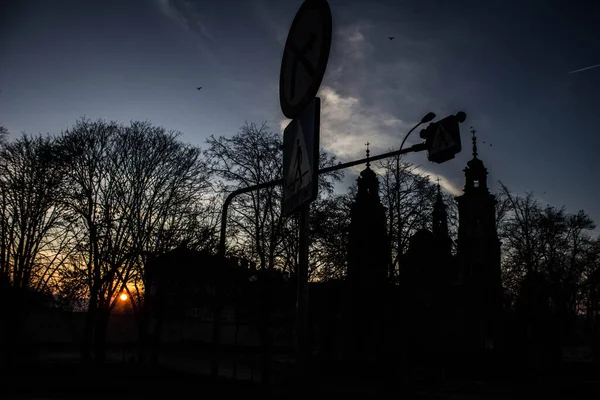Manzara. Ağaçların ve şehrin arka planında gün batımı. Arkaplan.