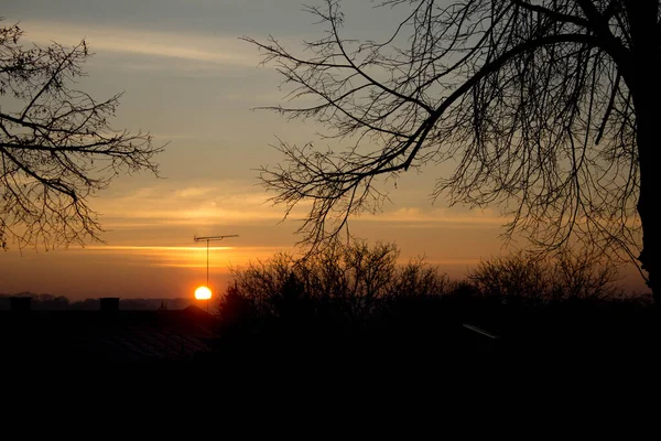 Manzara. Ağaçların arkasında gün batımı. Arkaplan.