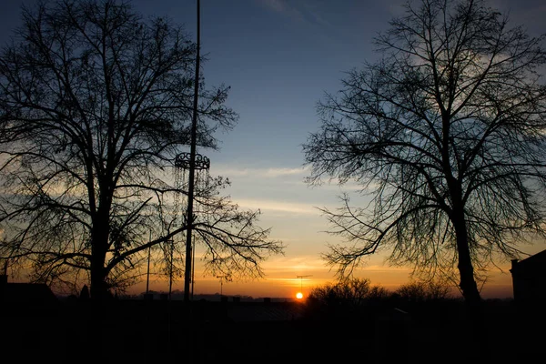 Manzara. Ağaçların arkasında gün batımı. Arkaplan.