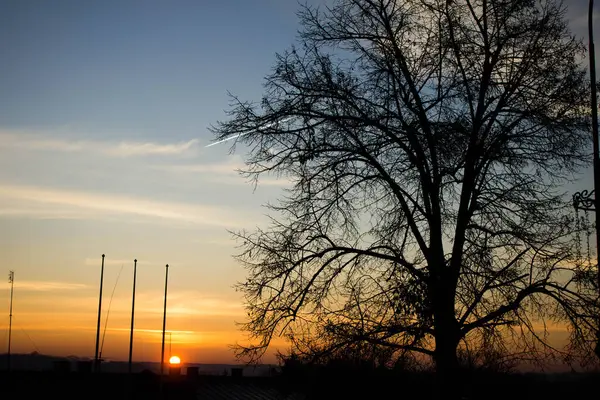 Manzara. Ağaçların arkasında gün batımı. Arkaplan.