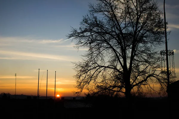 Manzara. Ağaçların arkasında gün batımı. Arkaplan.