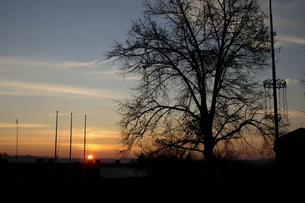 Manzara. Ağaçların arkasında gün batımı. Arkaplan.