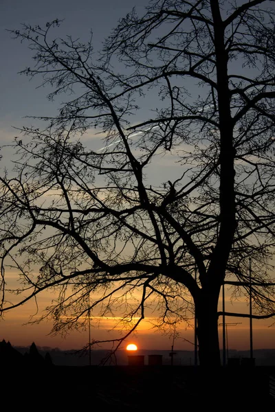 Cenário Pôr Sol Fundo Das Árvores Contexto — Fotografia de Stock