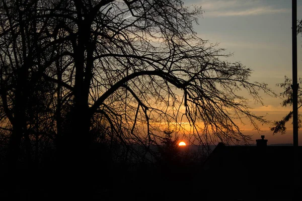 Manzara. Ağaçların arkasında gün batımı. Arkaplan.