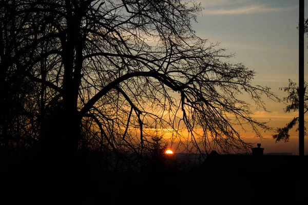 Paesaggio Tramonto Sullo Sfondo Degli Alberi Contesto — Foto Stock