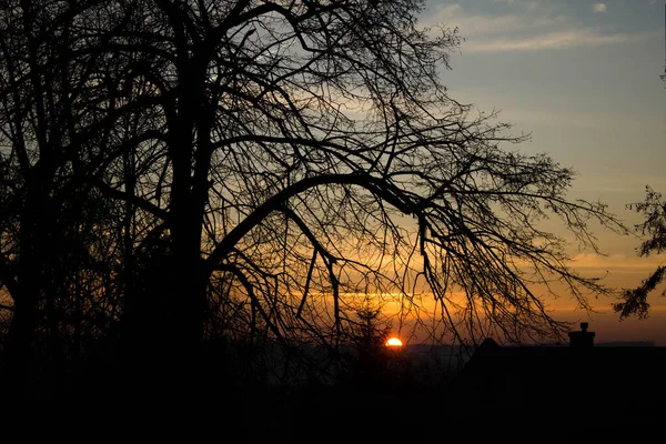 Cenário Pôr Sol Fundo Das Árvores Contexto — Fotografia de Stock