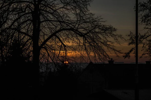 夕阳西下在树后 — 图库照片
