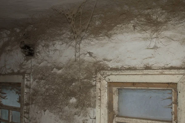 Ένα Πολύ Παλιό Σπίτι Εγκαταλελειμμένο Σπίτι Στο Διαδίκτυο Εσοδεία Παράθυρα — Φωτογραφία Αρχείου