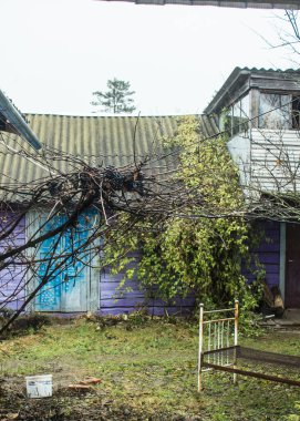 Çok eski bir ev. Terk edilmiş bir ev, eski bir avlu. Eski model. Eski bir evin pencereleri. Tavuklu eski bahçe. Arkaplan.