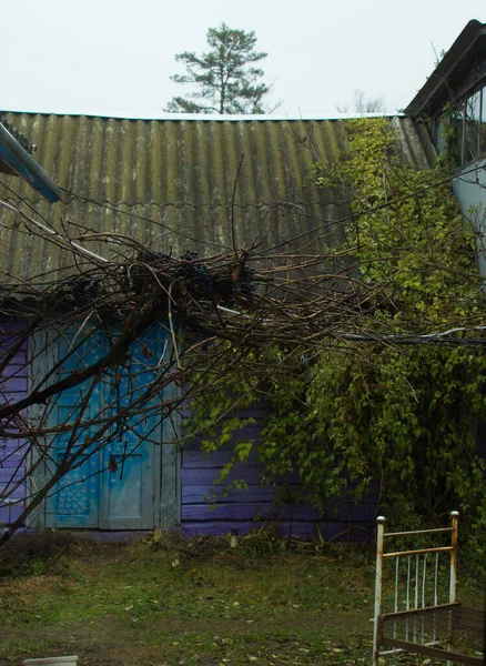 Egy Nagyon Régi Ház Elhagyott Ház Régi Udvar Vintage Kilátás — Stock Fotó