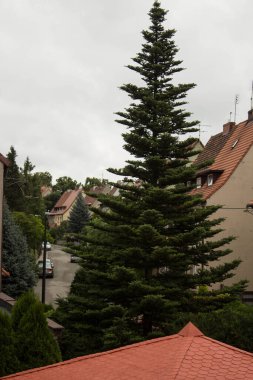 Güzel manzara. Pencereden bak. Güzel şehir. Arkaplan.