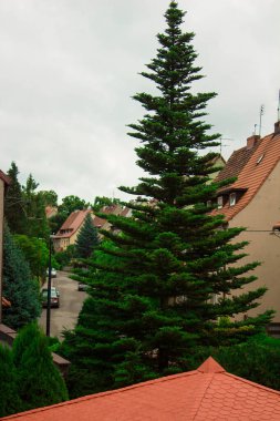 Güzel manzara. Pencereden bak. Güzel şehir. Arkaplan.