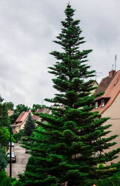 Güzel manzara. Pencereden bak. Güzel şehir. Arkaplan.