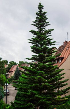 Güzel manzara. Pencereden bak. Güzel şehir. Arkaplan.