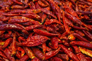Kırmızı Chili Pepper 'ın tam ekran görüntüsünü kapat