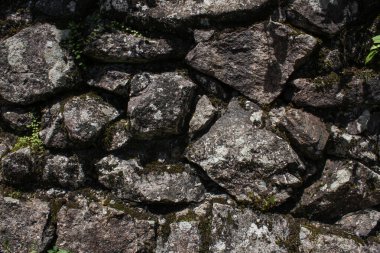 Detaylı koyu renkli yosunlu taş duvar.