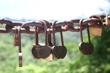 Eski bir zincirdeki bir grup metal asma kilit aşkın ve uzun bir ilişkinin işaretidir.