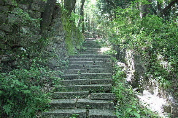 Escaleras Musgosas Parque Amarillo Montaña — Foto de Stock