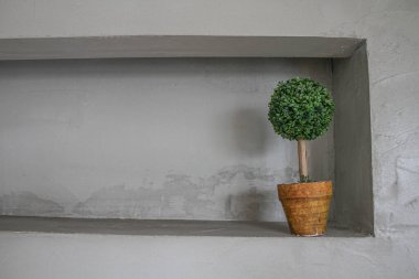 Gri arka planda tencerede yuvarlak bir taç olan bir ağaç.