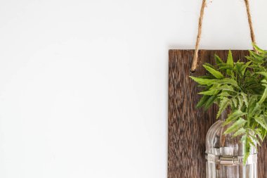 Ahşap masada duran cam şişede yeşil bitki, beyaz duvarda asılı.