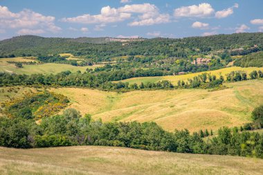 Hasat zamanı, Siena Eyaleti, Tuscany, İtalya, Asciano bölgesinin yeşillik ve tarlalarının manzarası.