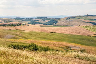 Hasat zamanı Siena Eyaleti, Toskana, İtalya 'da Ascanio bölgesinin tarımsal panoramik manzarası