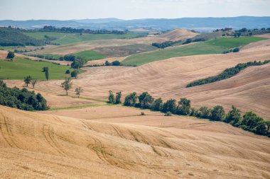 Geleneksel Toskana manzaralarının panoramik manzarası, Siena Eyaleti, Toskana, İtalya