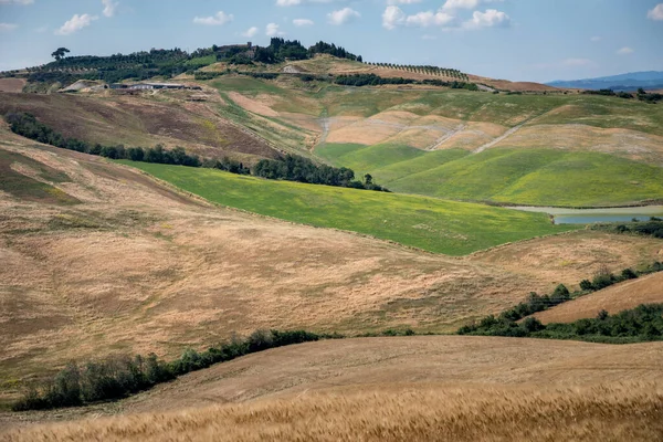 Geleneksel Toskana manzaralarının panoramik manzarası, Siena Eyaleti, Toskana, İtalya