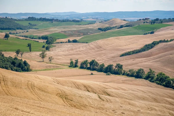 Panoramic View Traditional Tuscany Landscapes Siena Province Tuscany Italy — Stock Photo, Image