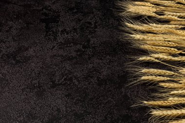 Koyu bir arka planda çuval bezi, üst manzara. Buğday kulakları. Kopyalama. en üstteki görünüm