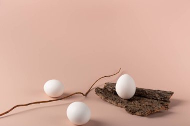 Hassas bir arkaplanda, ağacın kabuğunda bir yumurta ve boşluğun bir kopyası. Çevre dostu yaşam tarzı. Minimalizm