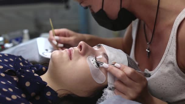 Eyelash Extension Procedure 눈썹을 여인의 가까이 매크로 — 비디오