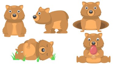 Set Abstract Collection Flat Cartoon Different Animal Wombat Sleep, Is Sitting, Eating Mushroom, Peeps Out Of The Hole Vector Design Style Elements Fauna Wildlife vector Set Abstract Collection Flat Cartoon Different Animal Wombat Sleep, Is Sitting, Eating Mushroom, Peeps Out Of The Hole Vector Design Style Elements Fauna Wildlife vector