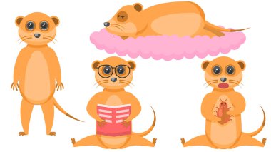 Soyut Koleksiyon Düz Çizgi Filmini Farklı Hayvan Mirasçıları Standı, Okuma Kitabı, Uyuma, Böcek Vektörü Tasarım Tarzı Vahşi Yaşam Elemanlarını Ayarla