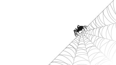Web 'de beyaz arkaplanı olan örümcekler. Cadılar Bayramı Tasarım Elemanı. Ürkütücü, Korkunç Korku Dekorasyonu Vektörü