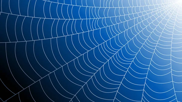 Karanlık Arkaplan Üzerine Örümcek Ağı Cadılar Bayramı Tasarım Elementleri Ürkütücü Korkunç Korku Dekorasyonu Vektörü