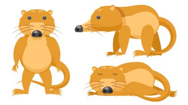 Soyut Koleksiyon Düz Çizgi Filmini Farklı Hayvan Silahşörleri, Tasarım Duruşu, Uyku Vektörü Tasarım Tarzı Vahşi Yaşam Elementleri Biçimini Ayarla