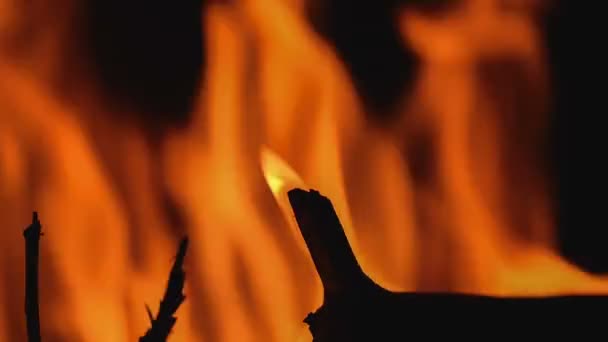木材燃烧的壁炉进入。抽象运动的火焰. — 图库视频影像