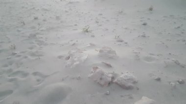 Günbatımında Yunanistan 'ın Elafonisos plajı.