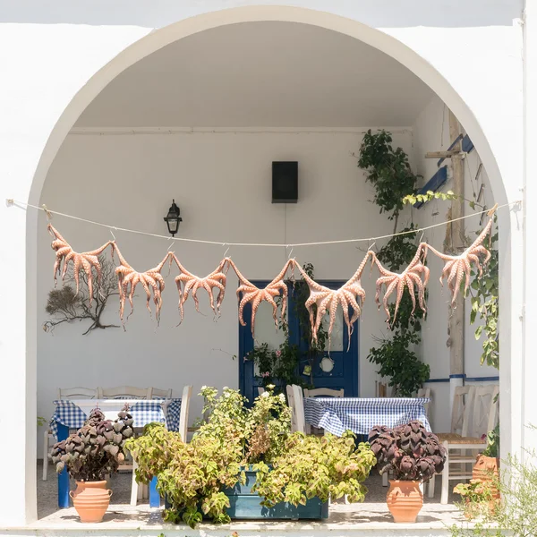 Традиційні грецькі страви восьминіг сушка на сонці. — стокове фото