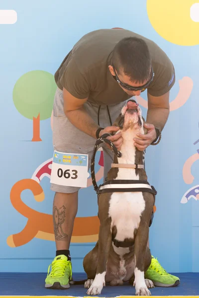 Athens, Greece 4 October 2015. Competitor in competition friskies run with your dog in Greece gives the credits to his dog for winning the second place.