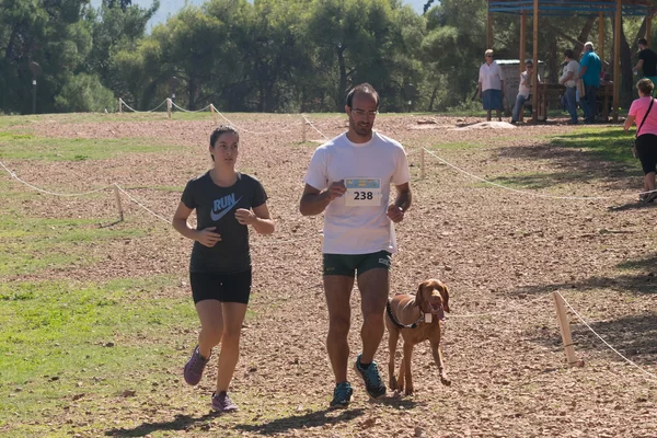 Atina, Yunanistan 4 Ekim 2015. Adam ve aile Yarışması'nda çalışan kızı ile senin köpek Yunanistan çalıştırmak.