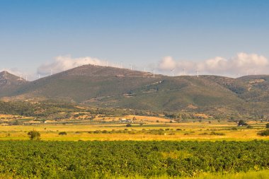 Yunanistan Evia, bir çayır ve rüzgar türbinleri dağların üstünde manzara.