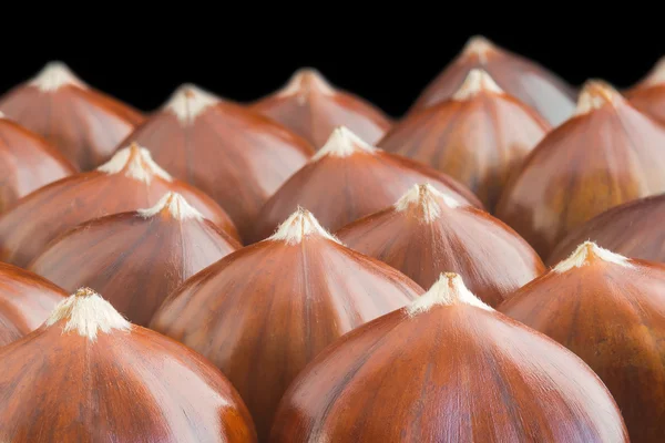 Close up of chestnuts on black background. — Stock Photo, Image