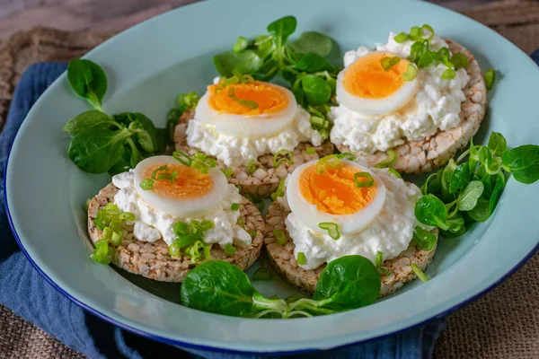 Gluten free sandwich. Homemade gluten free and vegetarian open faced sandwich with boiled egg and cottage cheese. High protein meal. Served on a plate. Closeup view