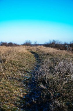 Kuru çim arazisi boyunca kırsal toprak patika. Yüksek kaliteli fotoğraf Dar kırsal yol açık mavi bir gökyüzü altında kuru çimenler keserek seyahat, özgürlük, açık hava yaşam tarzı ve kırsal doğa sembolize.