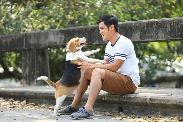 Asian man is playing with his beagle dog while having morning exercise in the park