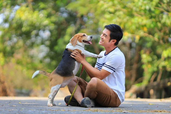 Asyalı Adam Parkta Sabah Egzersizi Yaparken Köpeğiyle Oynuyor — Stok fotoğraf