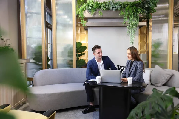 Kafkasyalı iş adamları gelecek yıl için yeni stratejik planlama üzerinde çalışıyorlar. Laptop kullanıyorlar. Çevrede hava temizleme tesisi ile çevrili yeşil çevre dostu modern çalışma alanında çalışıyorlar.