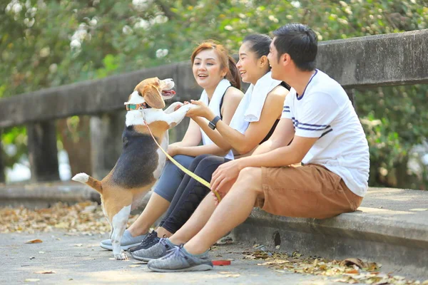 亚洲朋友在公园晨练的时候 正在和他们的小猎犬玩耍 — 图库照片